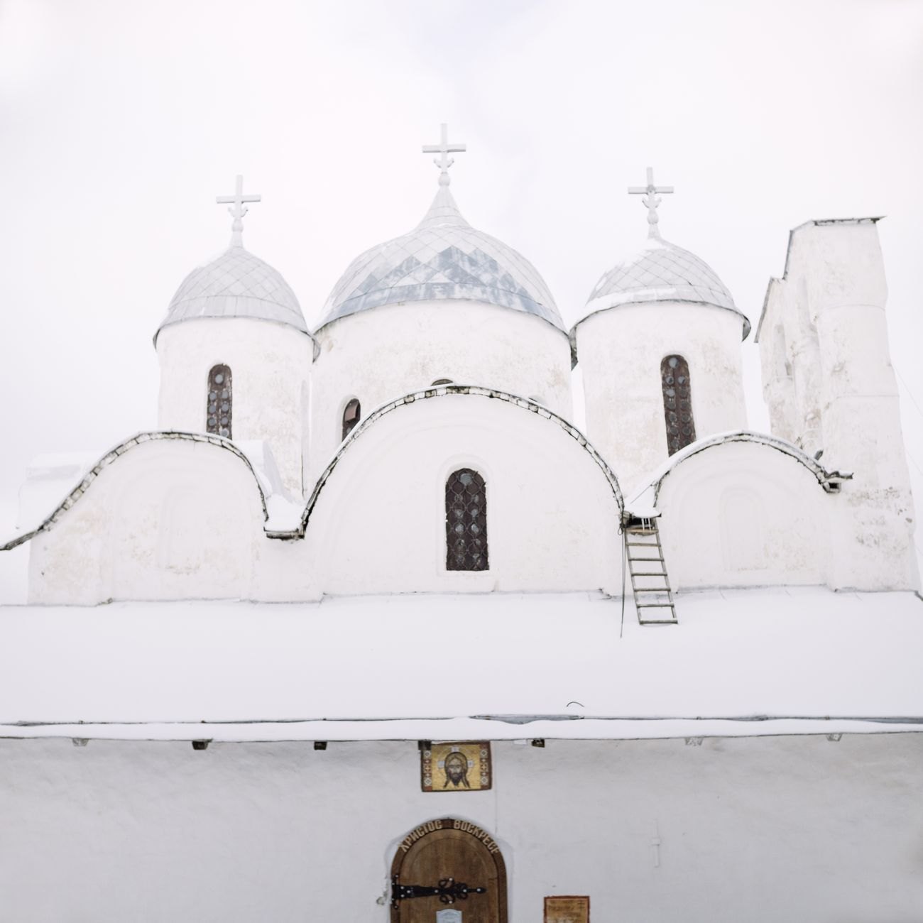 Взрослая пиренейская горная собака
